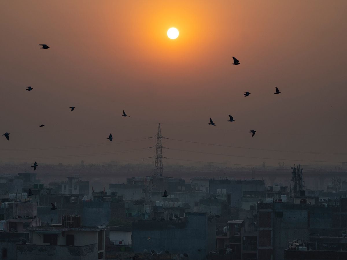 Birds fly in the foreground of the rising sun as morning fog covers the skyline of New Delhi, India