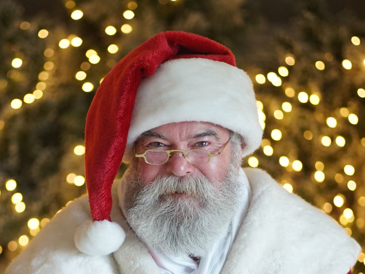 Search is on for new Santa Claus to star at garden centre grotto