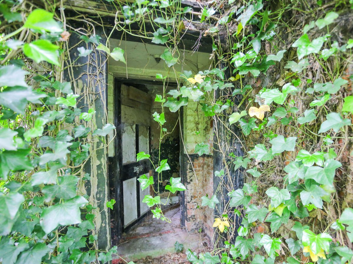 Inside the derelict hidden house so overgrown it can’t be seen from passing road