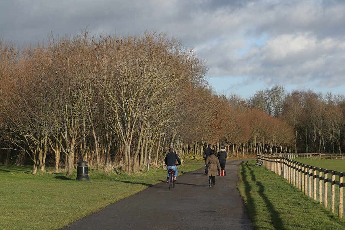 Sandwell Valley to be transformed into winter wonderland for Christmas