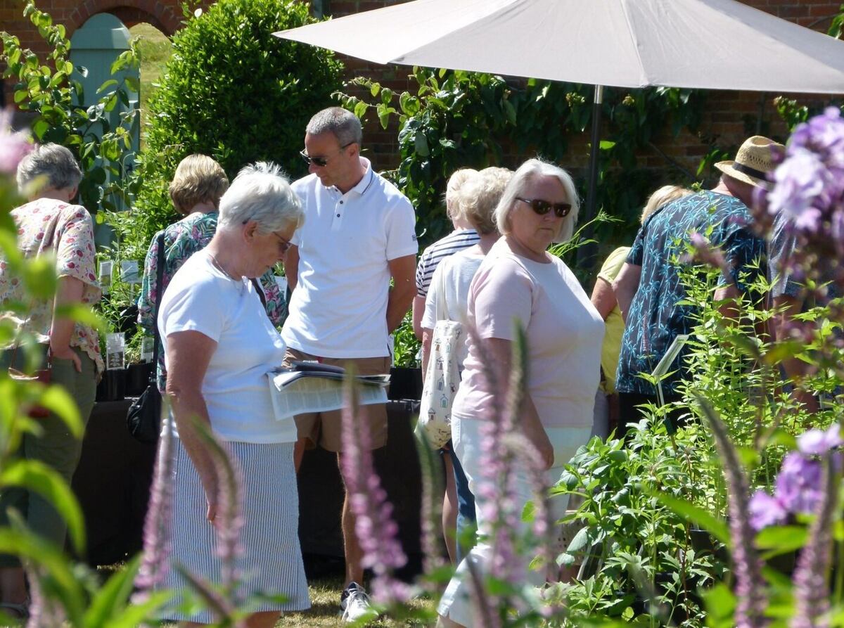 Historic walled kitchen garden opens for plant fair | Express & Star