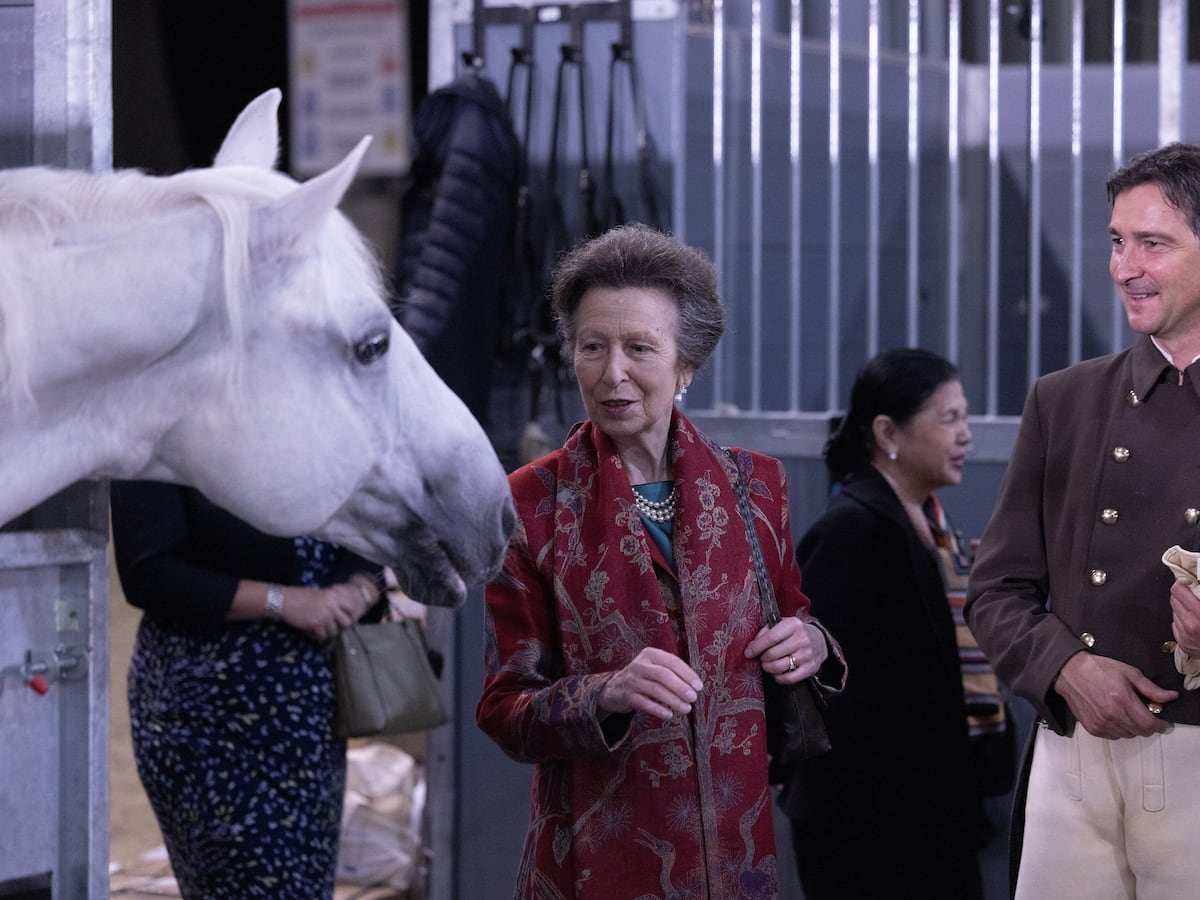 Anne watches world’s oldest riding school dazzle on UK tour