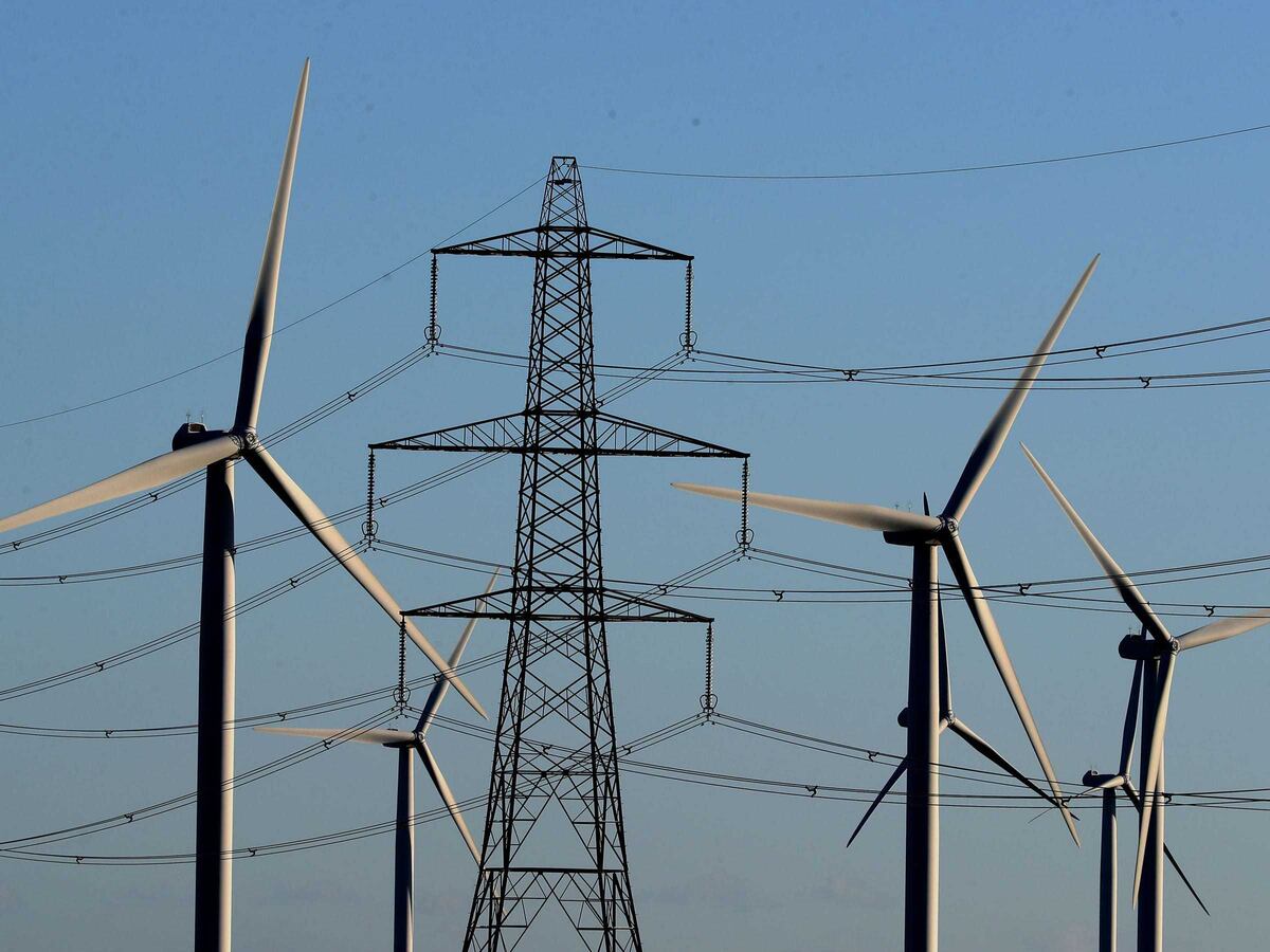 UK must build power infrastructure including pylons ‘at speed’, expert warns