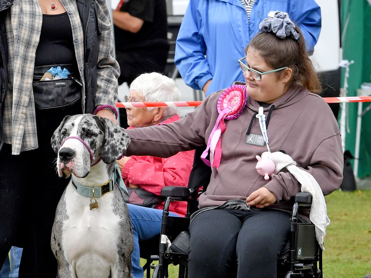 Watch: Dog-tastic day out at Himley Hall as charity puts on a show with a message behind it