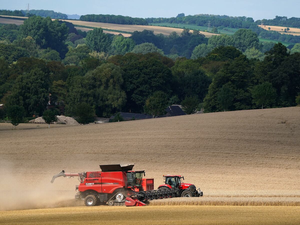 England ‘seen as world leading on nature-friendly farming at Cop16’