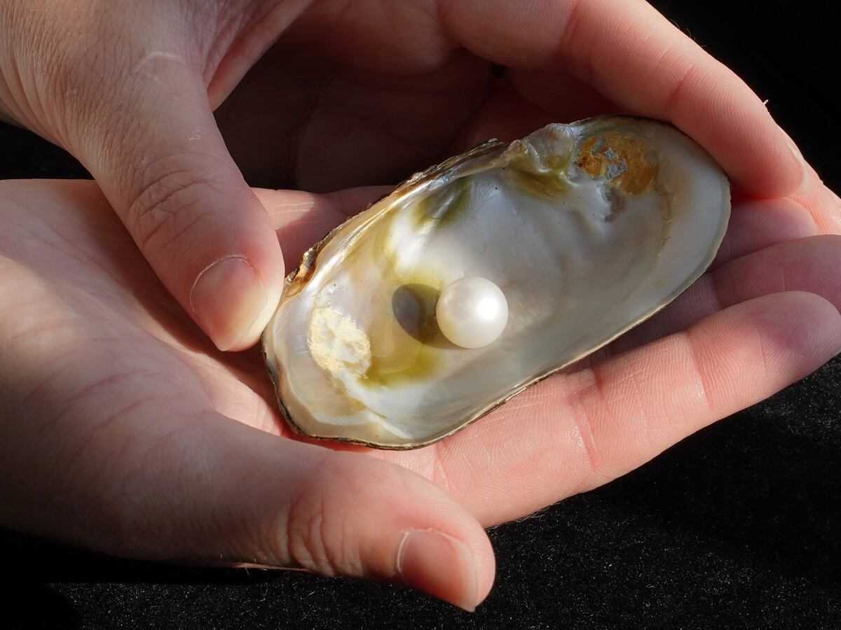 Famous freshwater pearl to stay in Scotland after selling for more than £93,000