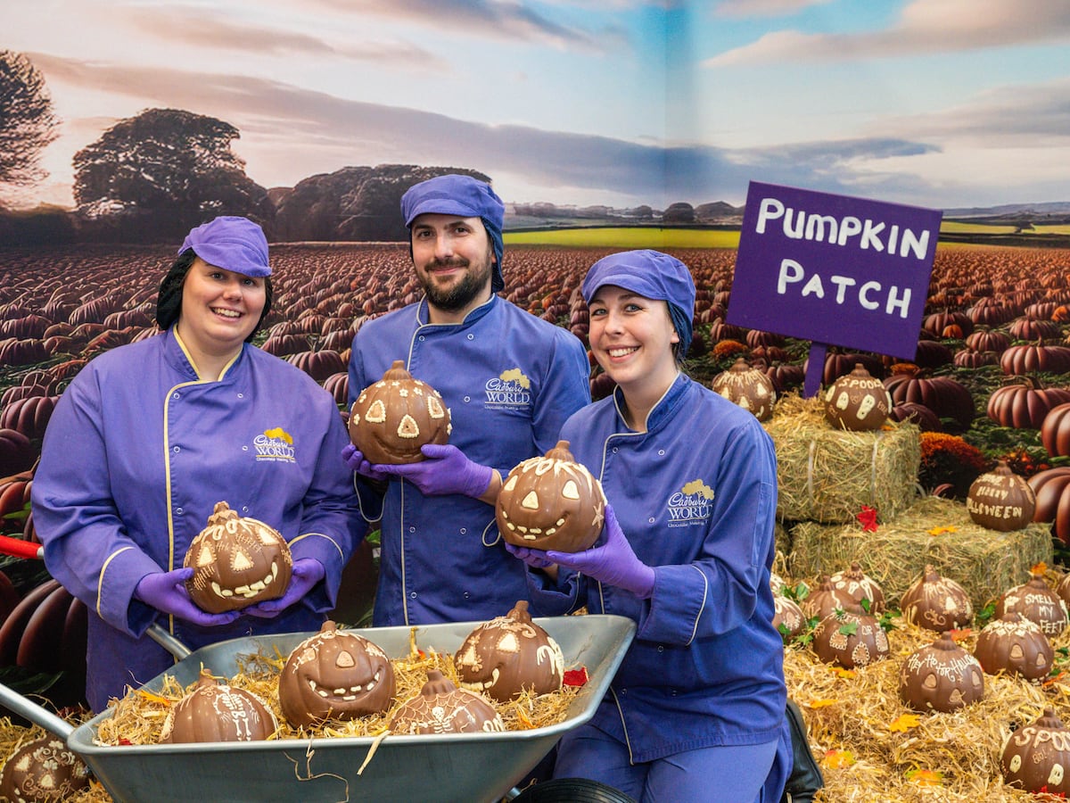 Cadbury World chocolatiers create edible pumpkin patch for Halloween