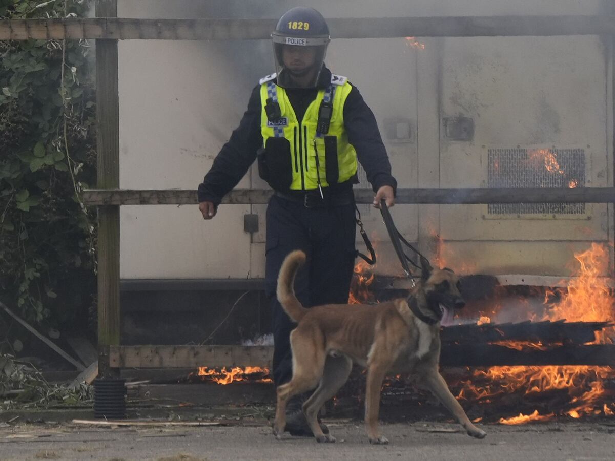 Police dogs should be phased out, Peta tells Met commissioner