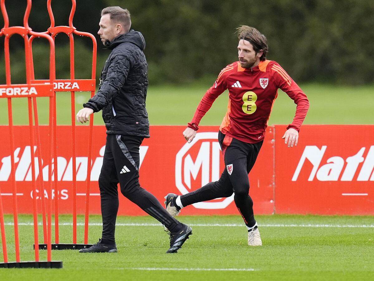 Craig Bellamy says ‘romantic’ Montenegro return for Joe Allen would be a gamble