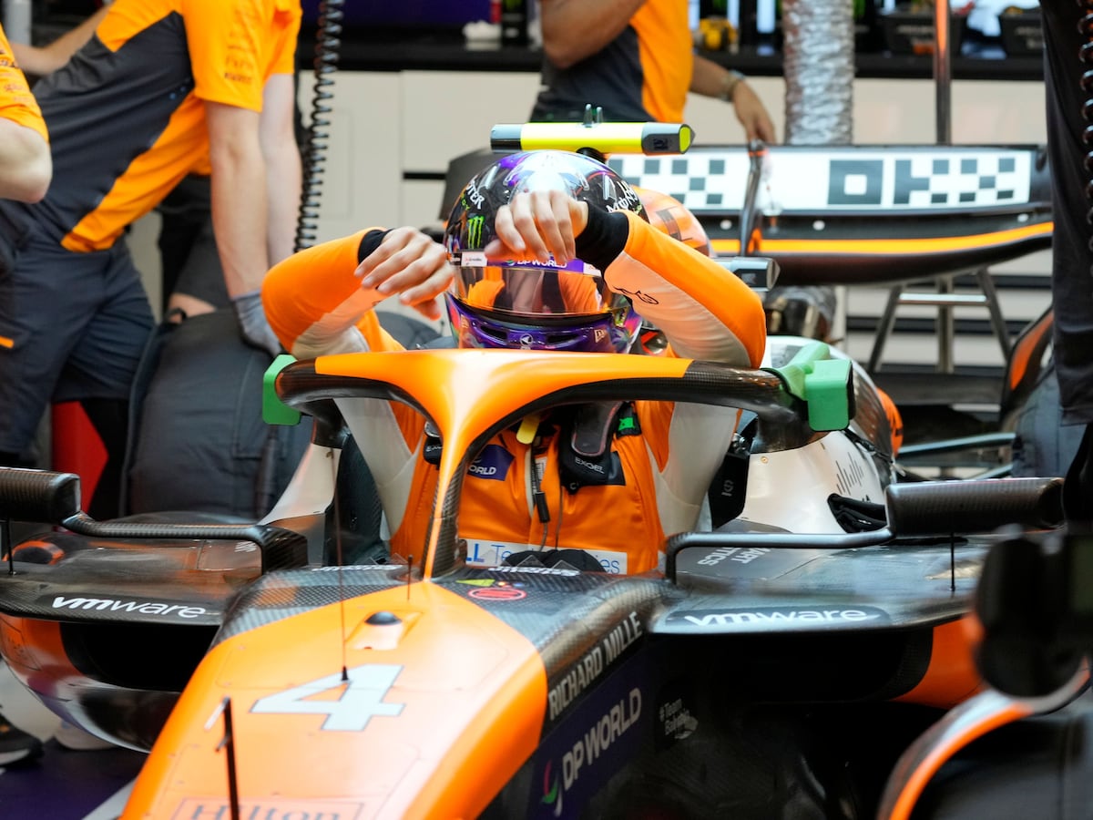 Lando Norris fastest as final Singapore practice disrupted by 3ft monitor lizard