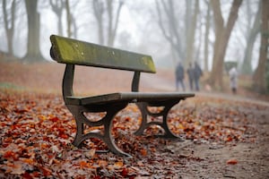  Walsall Arboretum in the cold and foggy conditions today (Friday)