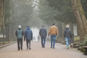 The cold conditions didn't stop walkers taking advantage of the beauty of Walsall Arboretum.