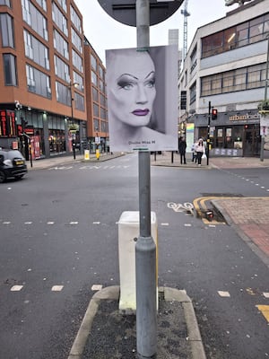 Pictures of the Divine Miss M have been placed in Hurst Street in Birmingham, in the city's gay village