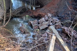 Debris in the brook below the railway. Picture: Steve Leath.