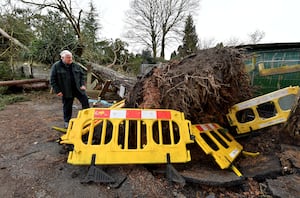 Peter Scarrott with the tree