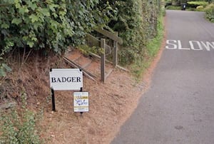 Badger, near Bridgnorth. Photo: Google