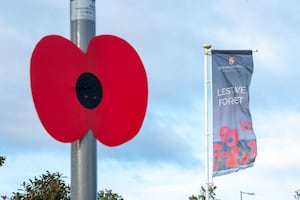 BG - SGB-6855 - A lamppost poppy at a David Wilson Homes development