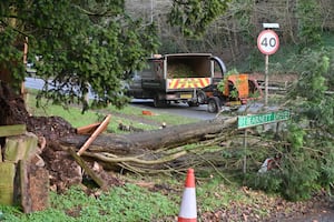 The tree fell on the A449 near to Bearnett Drive