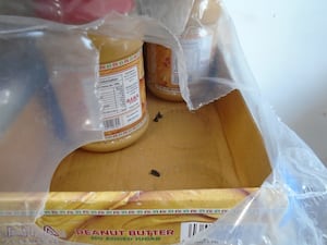 Rat droppings found close to packaged food. Photo: Wolverhampton Council