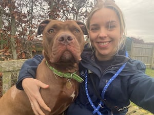 Comet the dog was rescued from Bilston where he was found stabbed and tied to a lamppost