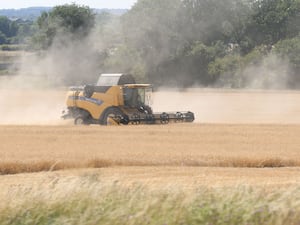 A combine harvester in a field