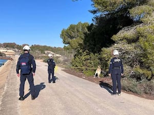 Members of the K9 Search and Rescue NI team travelled to Alicante (K9 Search and Rescue)