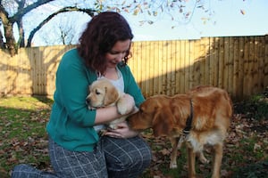 Fiona, a puppy and guide dog mum Nellie. 