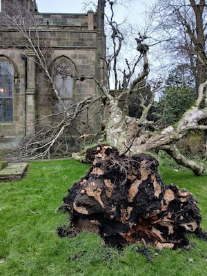 A tree fell towards All Saints, narrowly missing it