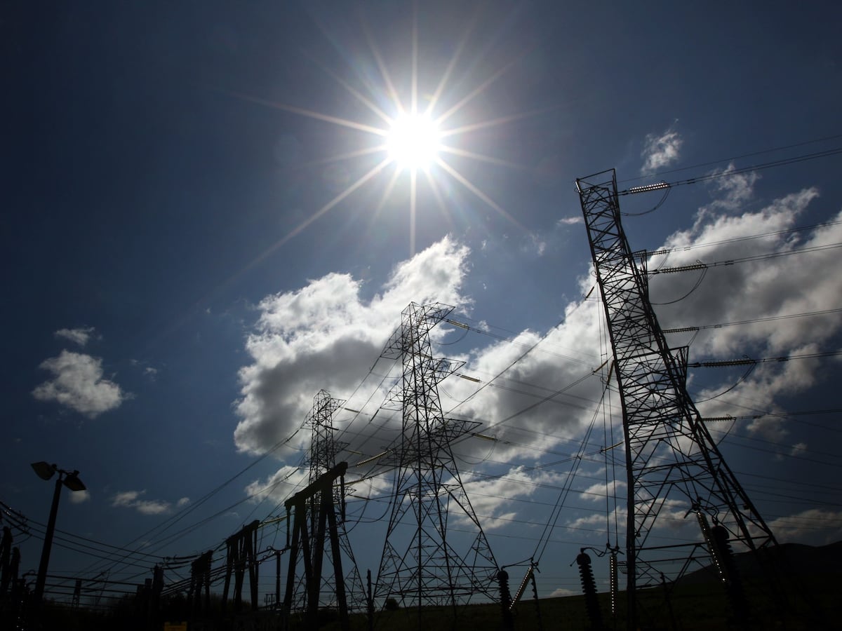 Energy firm promises £22 billion investment in ‘critical grid infrastructure’