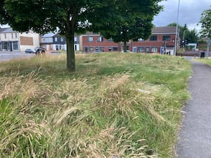 Green space off Proffitt Street 

Unruly Green spaces in Walsall 
Photos taken by Rachel Alexander 
Story: Council’s grass cutting strategy to undergo ‘big review’
Permission for use for LDR partners 