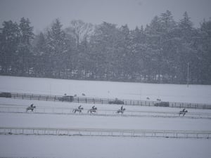 Horses on the gallops in the snow at the Curragh racecourse in Co Kildare