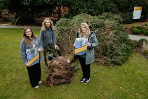 Compton Care were due to hold their \Light Up A Life\ Event this weekend but due to stormy weather they decided to postpone it. However, the Christmas Tree that they had prepared for the event was sadly blown over in the wind by the story on Saturday. In Picture L>R: Rachel Hailey, Lisa Bockhoefer and Claire Elwell.