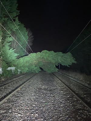 Trees have damaged the overhead wires. 