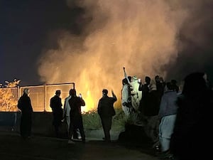 Supporters of Imran Khan burn bushes