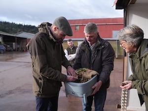 The Prince of Wales visiting a Duchy Focus Farm and inspecting a small worm composting unit with farmers