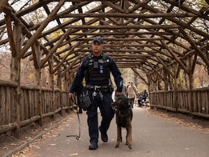 A police officer and German Shepherd dog walk beneath a wooden walkway