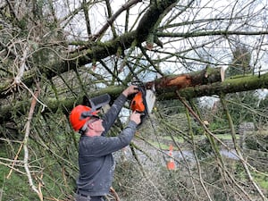 A man using a saw to cut up a fallen tree