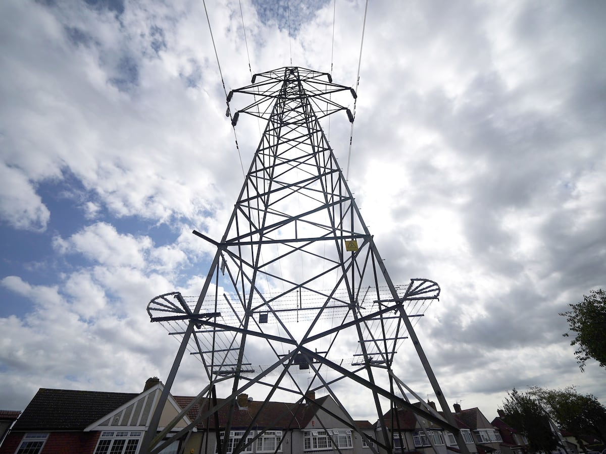 Energy firm sets out £10.6bn plan to boost electricity infrastructure