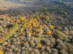 Drone footage of autumn colours at Strawberry Hill