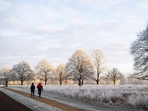 Walkers at sunrise in Richmond Park, London