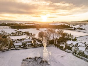 Autumn weather Nov 20th 2024