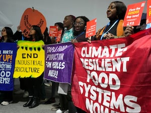 Activists participate in a demonstration for transforming food systems at the Cop29 UN Climate Summit