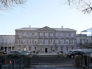 Ireland�s new parliament