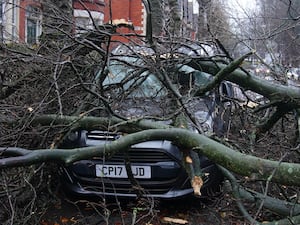 Part of a fallen tree which hit a car in Liverpool during a storm in December 2024