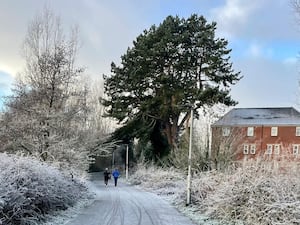 A scene of frosty weather on the Comber Greenway in east Belfast.