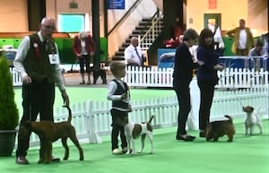 Freddie and Penny have competed at other competitions to qualify for Crufts