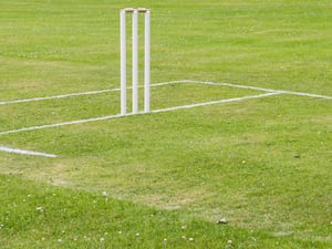 Wickets on a cricket pitch