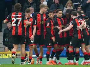 Bournemouth celebrate scoring against Everton