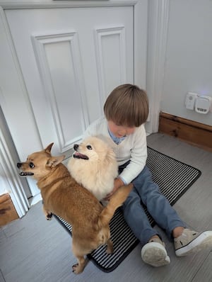 Rupert with the dogs, Paddy and Reggie 