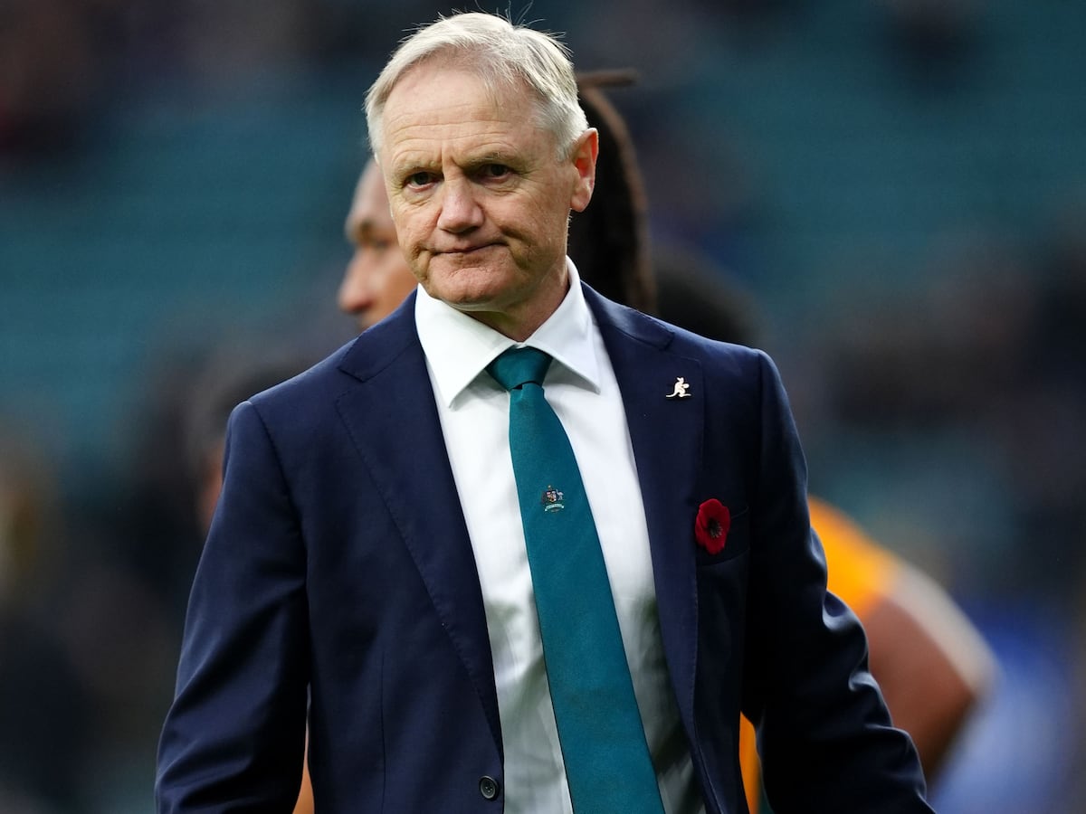 Paul O’Connell believes Joe Schmidt will revive Australia’s fortunes